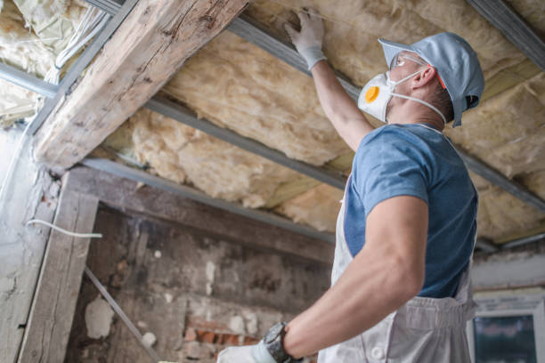 Best Cellulose Insulation in West Hills, PA